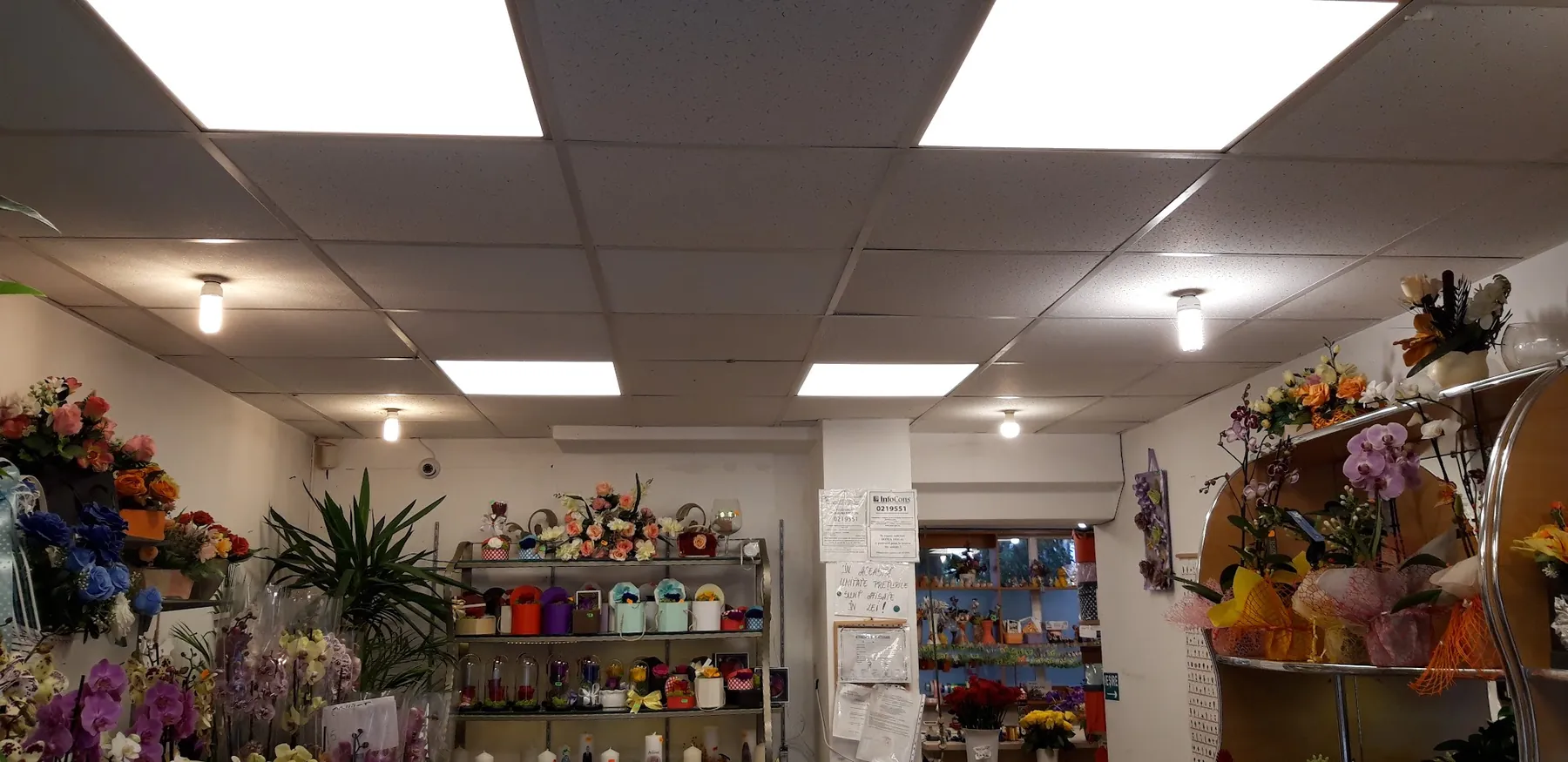 Interiorul florăriei Paleta Flor din Hunedoara, plin de flori și plante